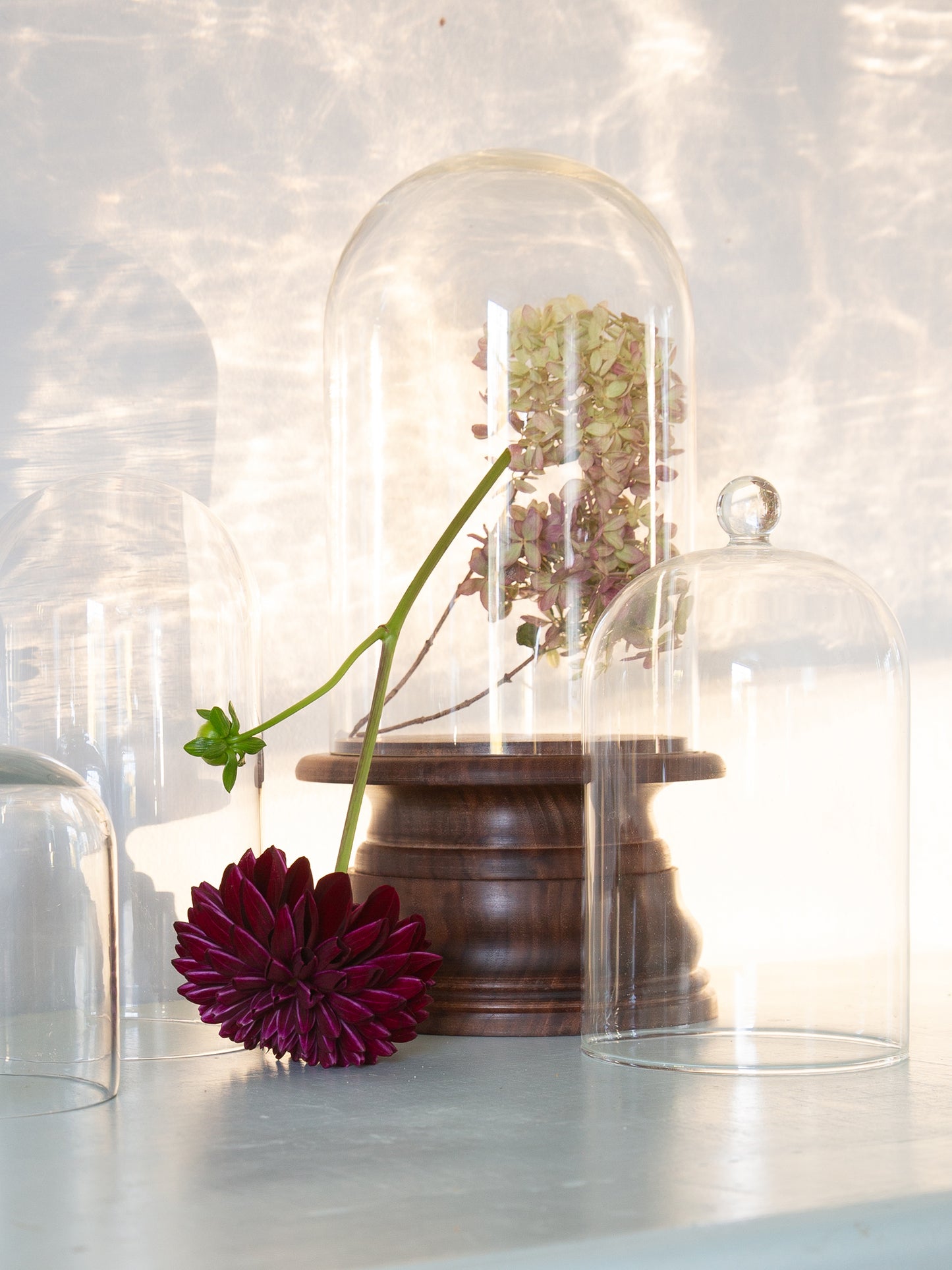 Cloche with Walnut Hand-turned Pedestal